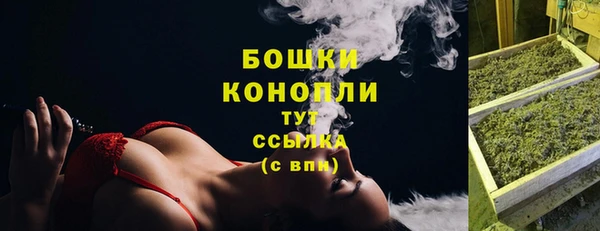 прущие грибы Верхний Тагил