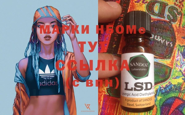 прущие грибы Верхний Тагил