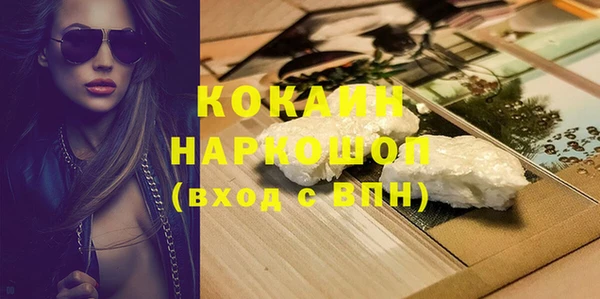 прущие грибы Верхний Тагил