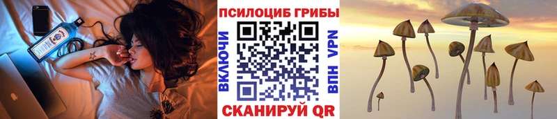 Галлюциногенные грибы Cubensis  Купить  Брюховецкая 